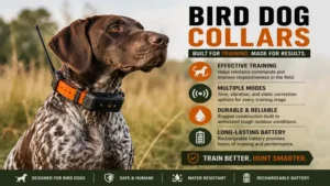 bird dog collars used for effective training and reliable field performance