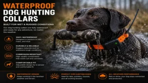 Waterproof dog hunting collars built for reliable use in wet and rugged hunting conditions