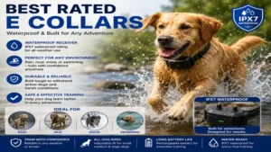 Best rated e collars with IPX7 waterproof design for outdoor adventures and all-weather training