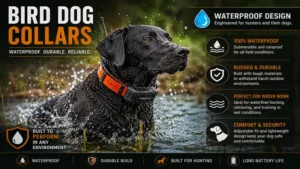 bird dog collars featuring a waterproof design for rugged outdoor conditions