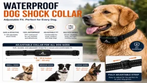 Waterproof dog shock collar with adjustable fit for small, medium, and large dogs