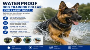 Dog training collar for large dogs featuring a waterproof design for reliable outdoor training