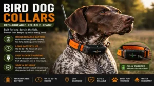 bird dog collars with rechargeable batteries for extended hunting trips