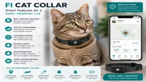 Fi cat collar highlighting smart tracking features, activity monitoring, and location history