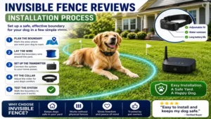 invisible fence reviews showing the installation process for a dog containment system