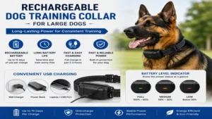 Dog training collar for large dogs with a rechargeable battery for extended training sessions