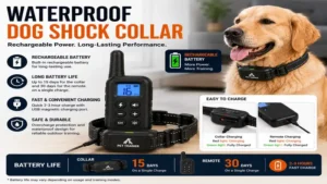 Waterproof dog shock collar featuring a rechargeable battery for extended use