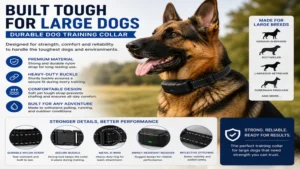 Dog training collar for large dogs made with durable materials for active dogs and regular use
