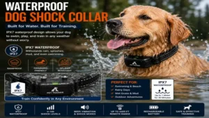 Waterproof dog shock collar with IPX7 water resistance for swimming and rainy conditions
