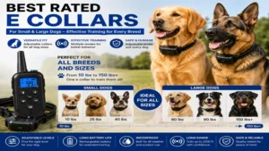 Best rated e collars designed for small, medium, and large dog breeds with adjustable settings