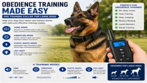 Dog training collar for large dogs supporting obedience training with tone and vibration functions