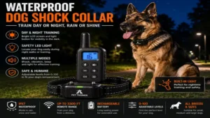 Waterproof dog shock collar supporting outdoor training during day and night