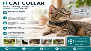 Fi cat collar worn by a curious cat during daily exploration with smart tracking enabled