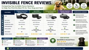 invisible fence reviews comparing dog fence systems based on performance, value, and reliability