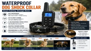 Waterproof dog shock collar built with durable materials for active dogs and outdoor adventures